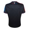 Maglia ufficiale Crystal Palace Alternativa 2024-25 per Uomo